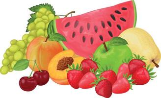 Fruit. Image of fruit. Such as watermelon, grapes, peach, strawberry and cherry apples and pears. Fruit collection. Still life of fruit. Vector illustration. Fruit set.