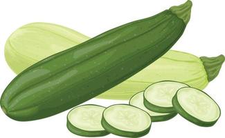 Zucchini. Image of sliced zucchini. Vegetarian vegetable from the garden. Farm vegetables. Vector illustration isolated on a white background