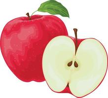 Apple. Red ripe apple. The apple is red with a green leaf. Ripe sweet fruit. Garden fruit. Vector illustration isolated on a white background