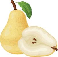 Pear. The image of a pear is yellow. Ripe sweet pear. Fresh garden fruit. Vitamin vegetarian product. Vector illustration isolated on a white background