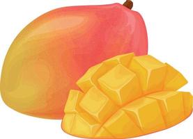 mango. mango maduro. fruta tropical. producto vegetariano vitamínico. ilustración vectorial aislada en un fondo blanco vector