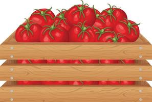 A box of tomatoes. Ripe red tomatoes in a wooden box. Vegetables in a wooden box. Vector illustration isolated on a white background