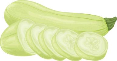 Zucchini. Image of sliced zucchini. Vegetarian vegetable from the garden. Farm vegetables. Vector illustration isolated on a white background