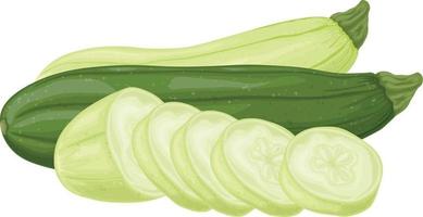 Zucchini. Image of sliced zucchini. Vegetarian vegetable from the garden. Farm vegetables. Vector illustration isolated on a white background