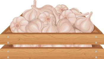 Garlic. Wooden box with garlic. Ripe farm vegetables. Garlic in a wooden box. Vector illustration isolated on a white background