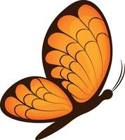 Butterfly. Image of a beautiful orange butterfly, side view. A bright moth. Vector illustration isolated on a white background