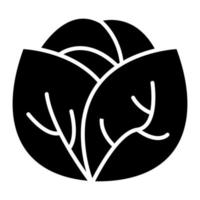 Cabbage Glyph Icon vector