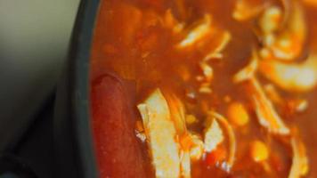 mélanger les ingrédients de la soupe mexicaine avec une cuillère en bois. prise de vue macro video