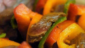 marinated beef kebabs with vegetables prepared on the grill video