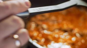 chashushuli tradizionale georgiano cibo. cibo preparato a partire dal manzo. chashushuli ricetta. il Manzo è così tenero video