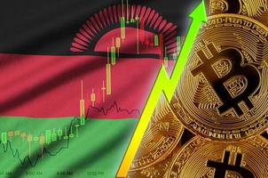 Malawi flag and cryptocurrency growing trend with many golden bitcoins photo