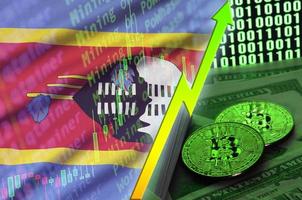 Swaziland flag and cryptocurrency growing trend with two bitcoins on dollar bills and binary code display photo