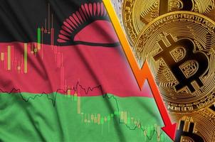 Malawi flag and cryptocurrency falling trend with many golden bitcoins photo