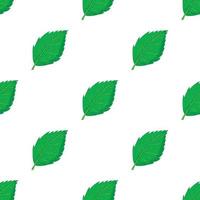 Birch leaf pattern seamless vector
