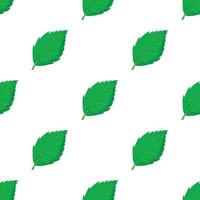 Birch leaf pattern seamless vector