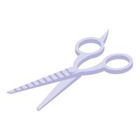 Hair care scissors icon isometric vector. Brush salon vector