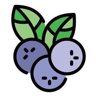 vector de contorno de color de icono de ashberry