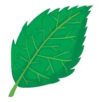 Birch leaf icon, cartoon style vector