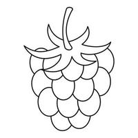 Raspberry icon, outline style vector