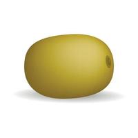 Brown fresh bio kiwi mockup, realistic style vector