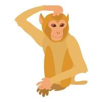 Brooding monkey icon, cartoon style vector