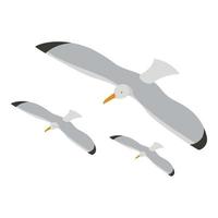 Seagull icon isometric vector. Three flying beautiful gray sea gull icon vector