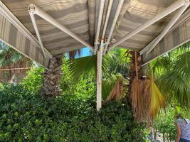 Close up on palm leaves against blue sky with blurry yellow straw umbrellas in the background with copy space photo