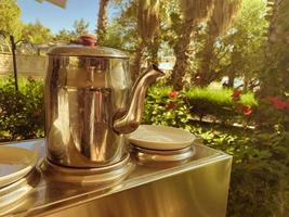 Cup and teapot in nature in the forest. photo