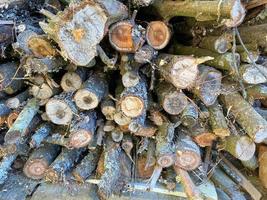 Chopped wood straightened in row. Wooden logs for heating. Wall made of cut logs. Fuel for fireplace and stove. Natural wooden texture. Stock of logs for winter heating. Rustic rural scene photo