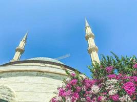 a mosque in flowers against a blue and bright sky. beauty of foreign country, muslim religion. faith in higher powers, stone building photo