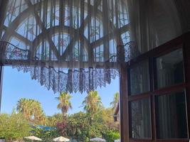 Views from window on palm trees and the sea photo