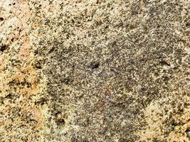 piedra natural, textura natural de color marrón. piedras pequeñas en la textura, piedra grande voluminosa. fondo natural foto