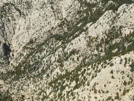 bosque verde en los trópicos desde arriba foto