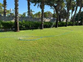 Palm trees and fence at Coral Cove Park, Jupiter Island, Florida photo