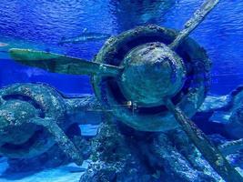 an old, wrecked plane sank underwater due to the crash. the propeller plane was overgrown with moss and corroded. old war plane photo