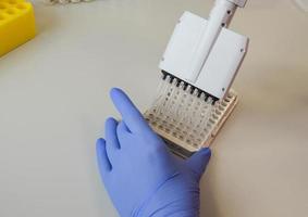 Single-channel dispenser with variable volume.Medical worker, scientist, laboratory assistant in rubber gloves works in the laboratory photo
