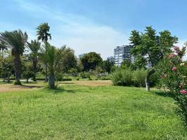 nuevo y hermoso parque moderno con plantas verdes, árboles tropicales y arbustos. lugar de descanso en la ciudad foto