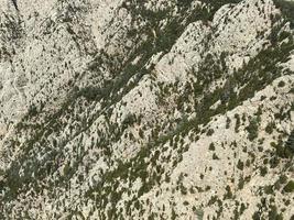 Aerial top view forest tree, Rainforest ecosystem and healthy environment concept and background, Texture of green tree forest view from above photo