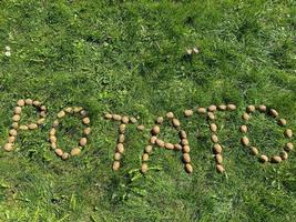 The inscription potatoes made of letters from natural yellow beautiful ripe tasty healthy starchy potatoes fresh in the ground on green grass. The background photo