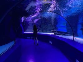 gran túnel de cristal redondo hermoso bajo el agua en el acuario con diferentes peces. turismo conceptual, mundo marino, buceo foto