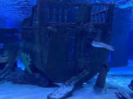 Old wooden boat sank in the deep sea in Maldives photo