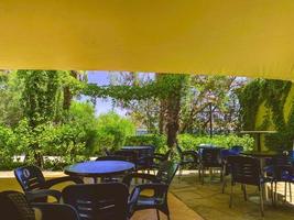 Wooden outside outdoor sitting restaurant empty area with picnic tables chairs bench in patio terrace garden with green plants in Florida with flower bouquet and condiments. photo