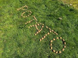 The inscription potatoes made of letters from natural yellow beautiful ripe tasty healthy starchy potatoes fresh in the ground on green grass. The background photo