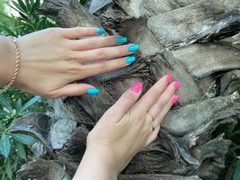 Female hand of a European woman with a manicure and red nails on a background of a trunk of a palm tree as a background or wallpaper photo