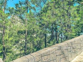 high mountain in tropical country. tall trees grow on the mountain. pine and spruce forest at a height. large green trees are located behind the fence photo