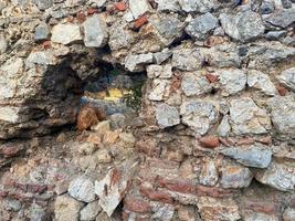 Background, texture, stone wall of round stones cobblestones bricks natural surface natural sharp convex rough stone cobblestone with cracks photo