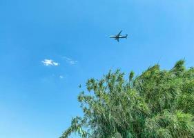 el avión vuela por el cielo. viaje aéreo. el avión lleva turistas al mar. Balneario. viajar en un gran avión blanco con muchos asientos foto