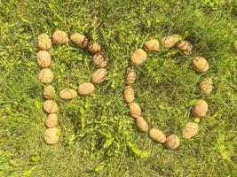 las patatas en la piel yacen sobre la hierba. letra p y o de kartovel, letras comestibles en el césped. sílaba de papas. productos del jardín. comida natural, productos veganos foto