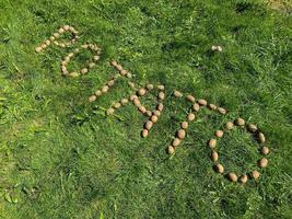 The inscription potatoes made of letters from natural yellow beautiful ripe tasty healthy starchy potatoes fresh in the ground on green grass. The background photo