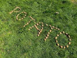 The inscription potatoes made of letters from natural yellow beautiful ripe tasty healthy starchy potatoes fresh in the ground on green grass. The background photo